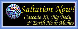 Saltation Logos I
